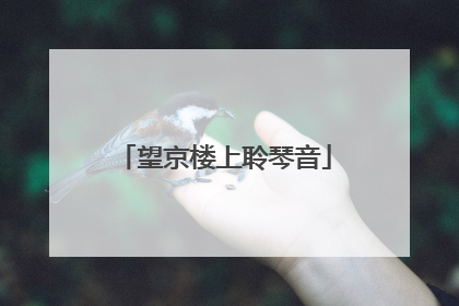 望京楼上聆琴音