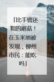 比手臂还粗的蘑菇！在玉米地被发现，柳州市民：能吃吗