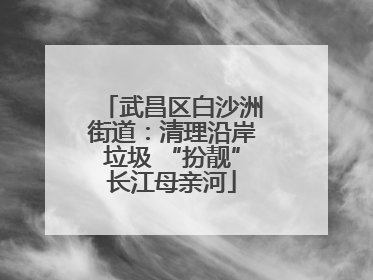武昌区白沙洲街道：清理沿岸垃圾 “扮靓”长江母亲河