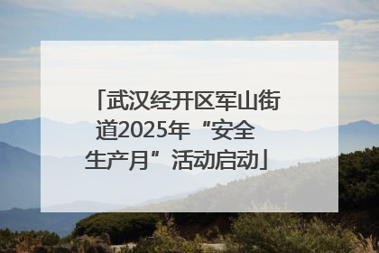 武汉经开区军山街道2025年“安全生产月”活动启动
