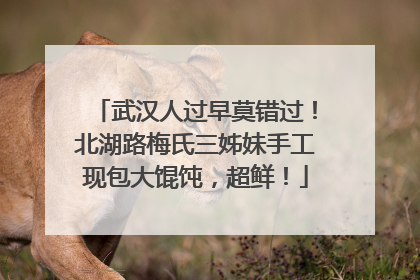 武汉人过早莫错过！北湖路梅氏三姊妹手工现包大馄饨，超鲜！