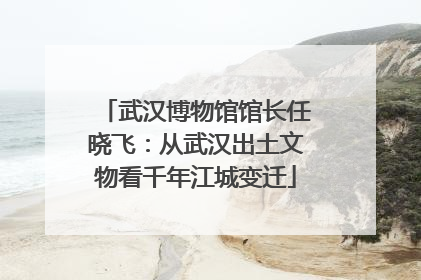 武汉博物馆馆长任晓飞：从武汉出土文物看千年江城变迁