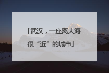 武汉，一座离大海很“近”的城市