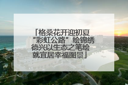格桑花开迎初夏 “彩虹公路”绘锦绣 德兴以生态之笔绘就宜居幸福图景