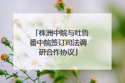 株洲中院与吐鲁番中院签订司法调研合作协议