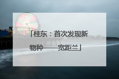 桂东：首次发现新物种——宽距兰