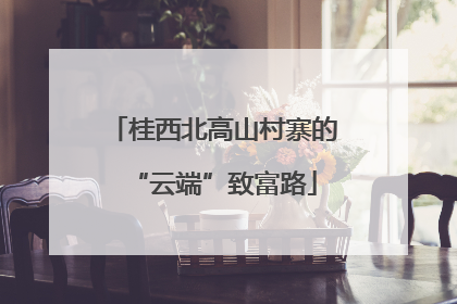 桂西北高山村寨的“云端”致富路