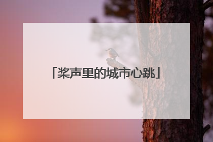 桨声里的城市心跳