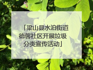 梁山县水泊街道德馨社区开展垃圾分类宣传活动