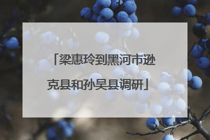 梁惠玲到黑河市逊克县和孙吴县调研