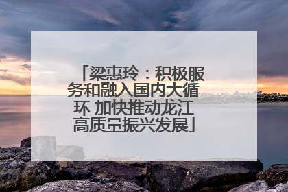 梁惠玲：积极服务和融入国内大循环 加快推动龙江高质量振兴发展