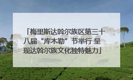 梅里斯达斡尔族区第三十八届“库木勒”节举行 呈现达斡尔族文化独特魅力