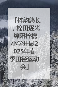 梓韵悠长，棉田逐光 绵阳梓棉小学开展2025年春季田径运动会