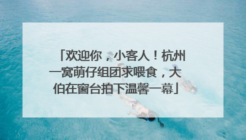欢迎你，小客人！杭州一窝萌仔组团求喂食，大伯在窗台拍下温馨一幕