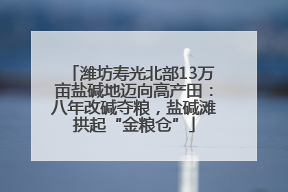 潍坊寿光北部13万亩盐碱地迈向高产田：八年改碱夺粮，盐碱滩拱起“金粮仓”