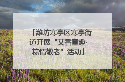 潍坊寒亭区寒亭街道开展“艾香童趣·粽情敬老”活动