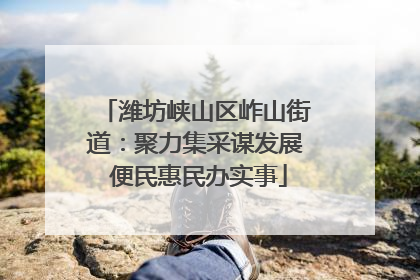 潍坊峡山区岞山街道：聚力集采谋发展 便民惠民办实事
