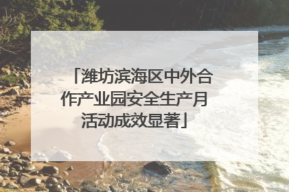 潍坊滨海区中外合作产业园安全生产月活动成效显著