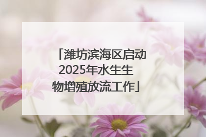 潍坊滨海区启动2025年水生生物增殖放流工作