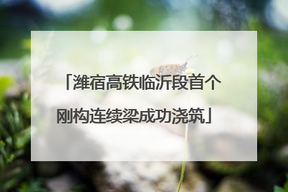 潍宿高铁临沂段首个刚构连续梁成功浇筑