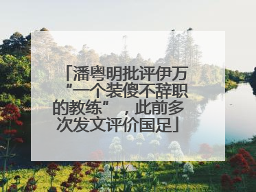 潘粤明批评伊万“一个装傻不辞职的教练”，此前多次发文评价国足