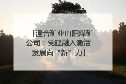 澄合矿业山阳煤矿公司：党建融入激活发展向“新”力