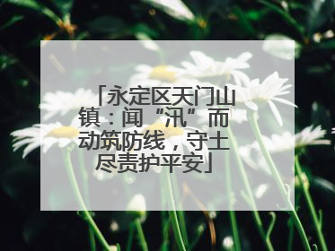 永定区天门山镇：闻“汛”而动筑防线，守土尽责护平安