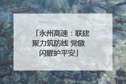 永州高速：联建聚力筑防线 党徽闪耀护平安