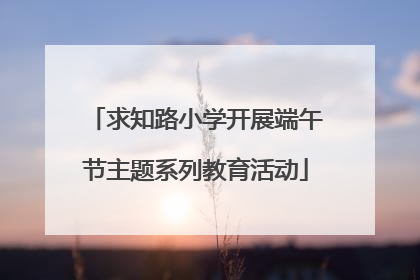 求知路小学开展端午节主题系列教育活动