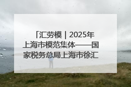 汇劳模｜2025年上海市模范集体——国家税务总局上海市徐汇区税务局第一税务所