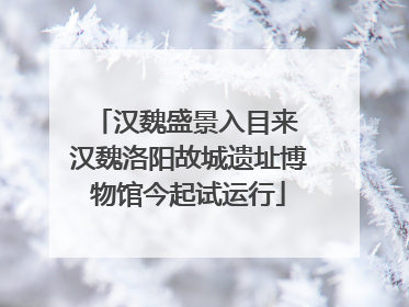 汉魏盛景入目来 汉魏洛阳故城遗址博物馆今起试运行