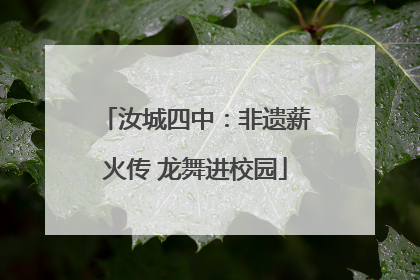 汝城四中：非遗薪火传 龙舞进校园