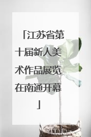 江苏省第十届新人美术作品展览在南通开幕