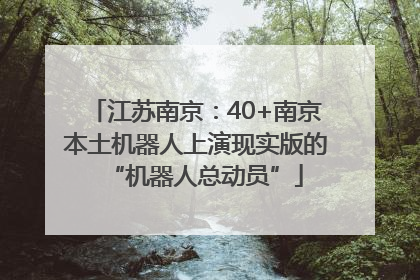 江苏南京：40+南京本土机器人上演现实版的“机器人总动员”