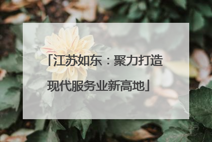江苏如东：聚力打造现代服务业新高地