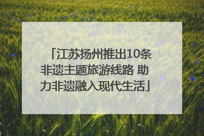 江苏扬州推出10条非遗主题旅游线路 助力非遗融入现代生活