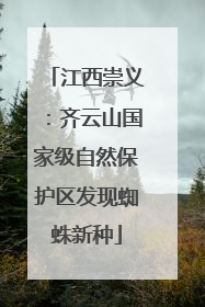 江西崇义：齐云山国家级自然保护区发现蜘蛛新种