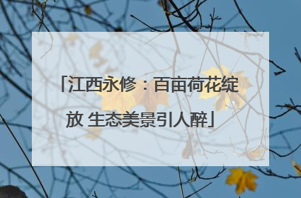 江西永修：百亩荷花绽放 生态美景引人醉
