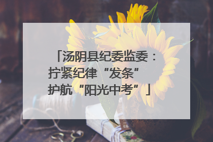 汤阴县纪委监委：拧紧纪律“发条” 护航“阳光中考”
