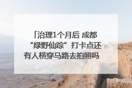 治理1个月后 成都“绿野仙踪”打卡点还有人横穿马路去拍照吗？｜民情瞭望
