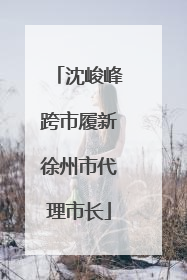 沈峻峰跨市履新徐州市代理市长