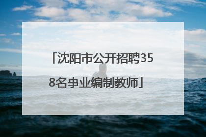 沈阳市公开招聘358名事业编制教师