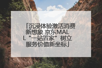 沉浸体验激活消费新想象 京东MALL“一站置家”树立服务价值新坐标