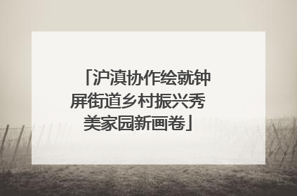 沪滇协作绘就钟屏街道乡村振兴秀美家园新画卷