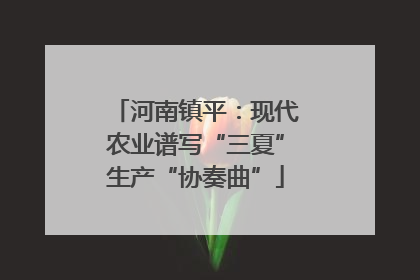 河南镇平：现代农业谱写“三夏”生产“协奏曲”
