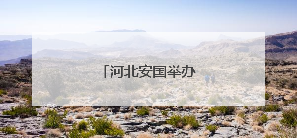 河北安国举办中药鉴别大赛