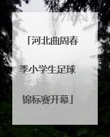 河北曲周春季小学生足球锦标赛开幕