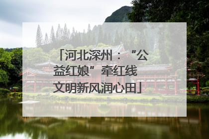 河北深州：“公益红娘”牵红线 文明新风润心田