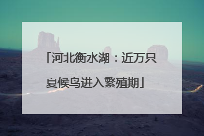 河北衡水湖：近万只夏候鸟进入繁殖期