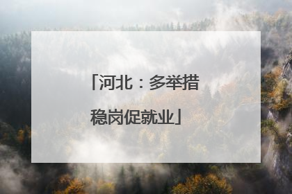 河北：多举措稳岗促就业